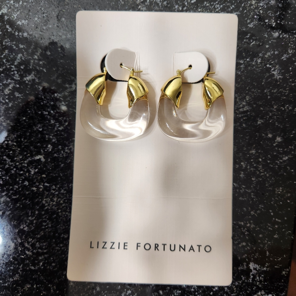 Lizzie Fortunato Resin Organic Hoop Earrings